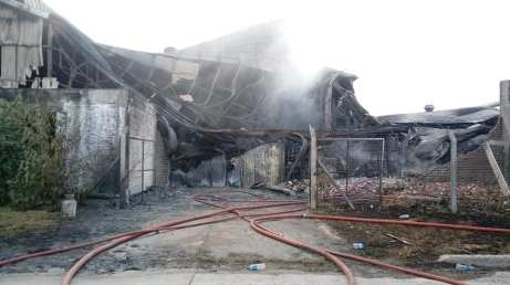 51408277_1901071403352710_7927791196351496192_n