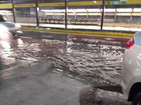 66786534_2413023865640299_1568687498639441920_n